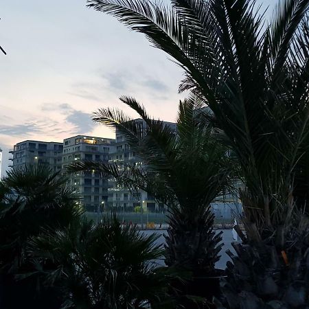 The Horse - De Silva Residence มามายา ภายนอก รูปภาพ